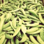 Peas, Jersey